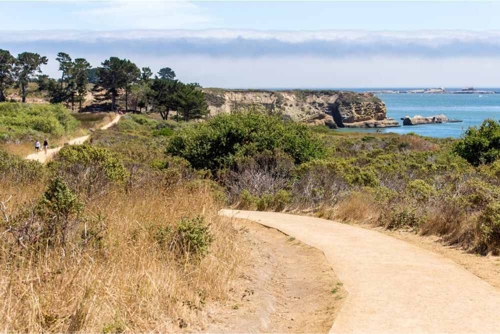 Año Nuevo State Park