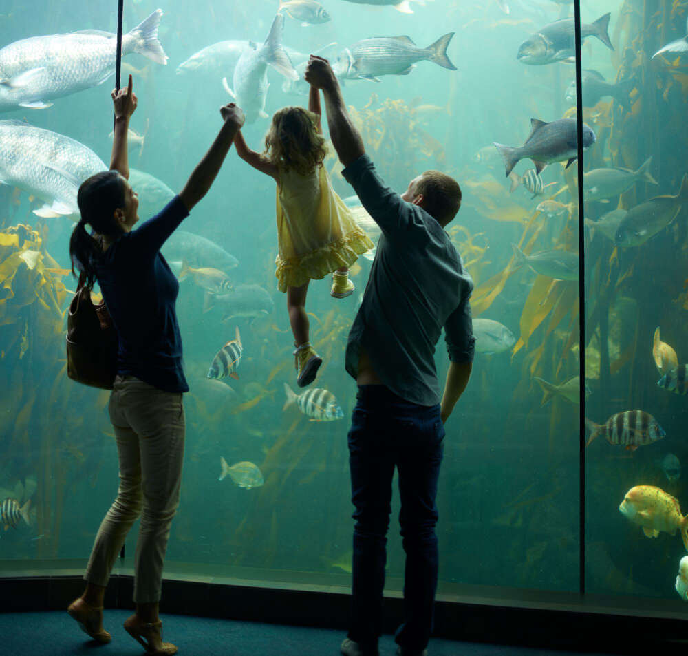 Explore the Boise Aquarium