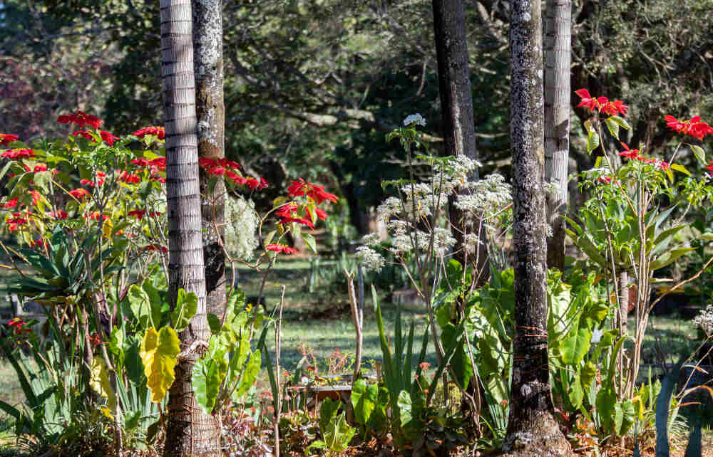 Idaho Botanical Garden