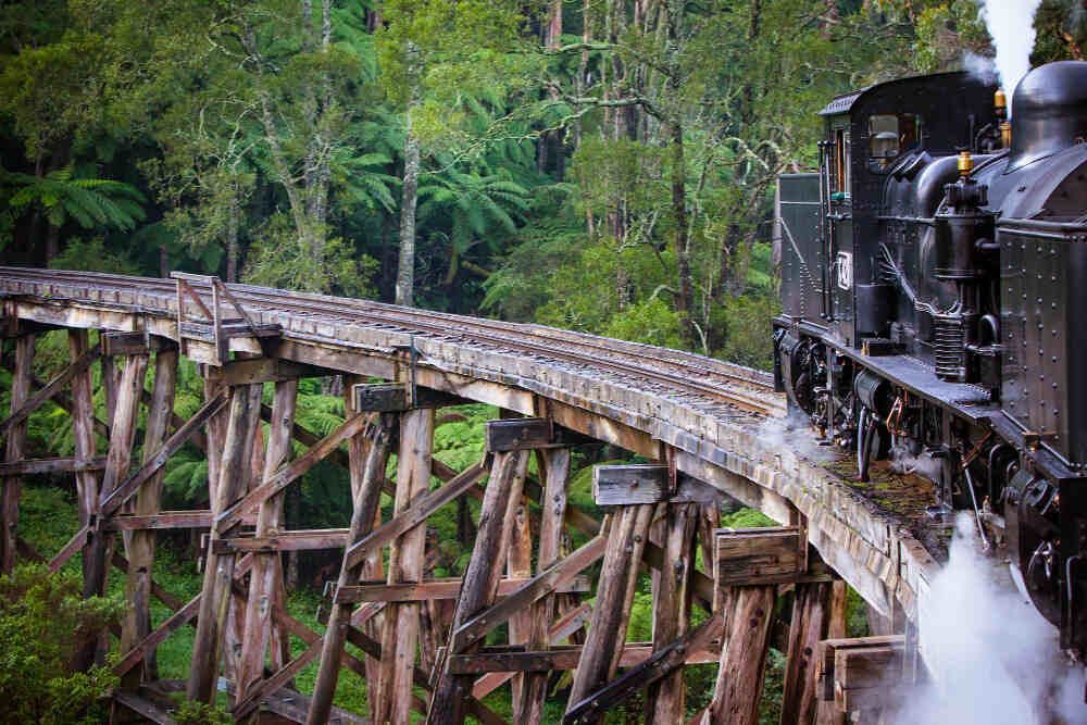 Roaring Camp Railroad