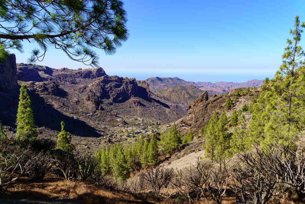 Santa Fe National Forest