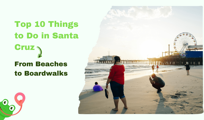 Top 10 Things to Do in Santa Cruz: From Beaches to Boardwalks