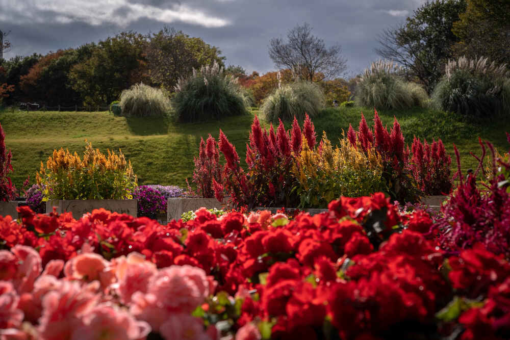 Red Butte Garden