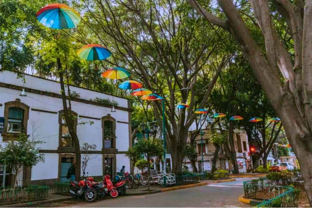 A Peaceful Walk on the Tree-Lined Streets of Condesa