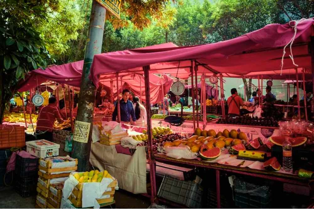 Shop at the Sunday Tianguis Market