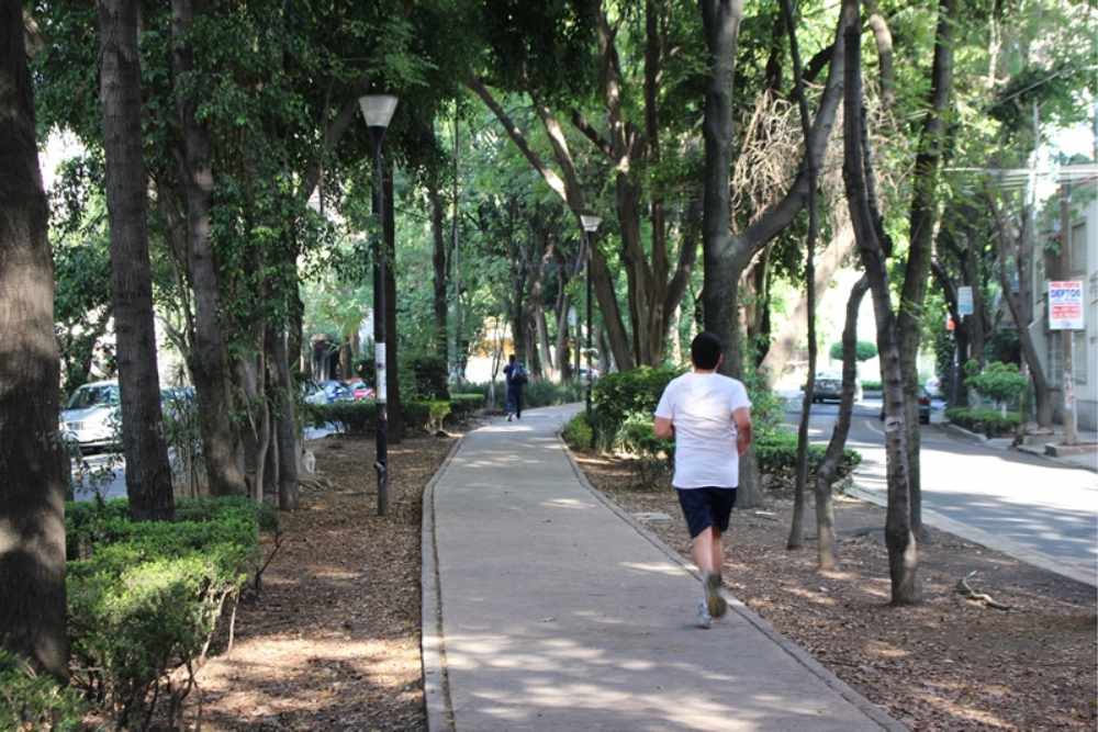 Walk the Oval at Avenida Ámsterdam