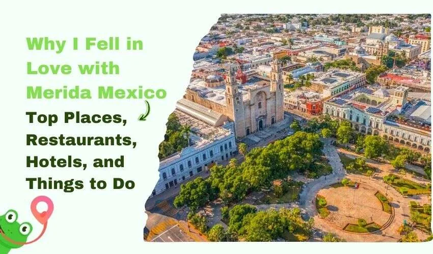 Why I Fell in Love with Merida Mexico: Top Places, Restaurants, Hotels, and Things to Do