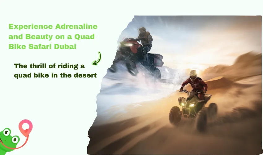 Experience Adrenaline and Beauty on a Quad Bike Safari Dubai