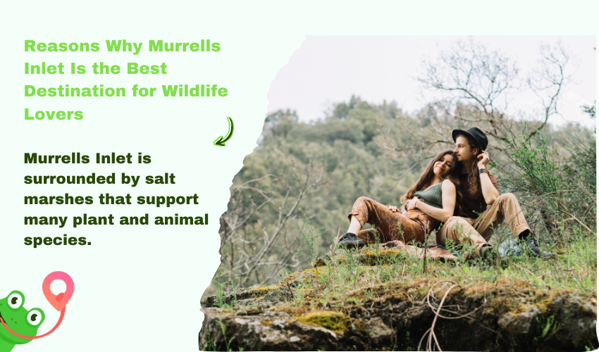 Reasons Why Murrells Inlet Is the Best Destination for Wildlife Lovers